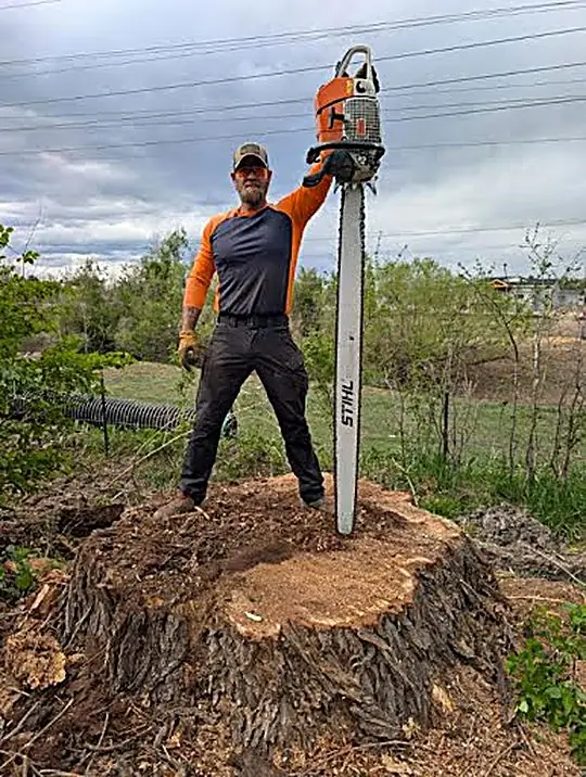 A&S technician on a freshly cut stump