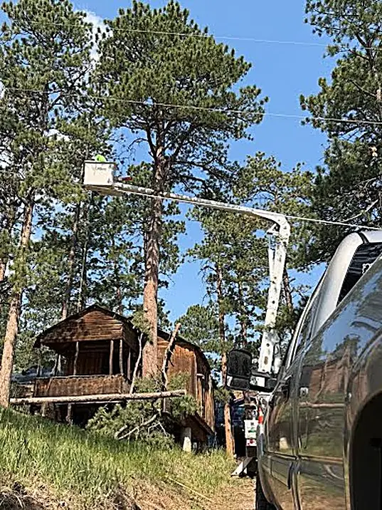 Bucket truck on a technical power-line tree job