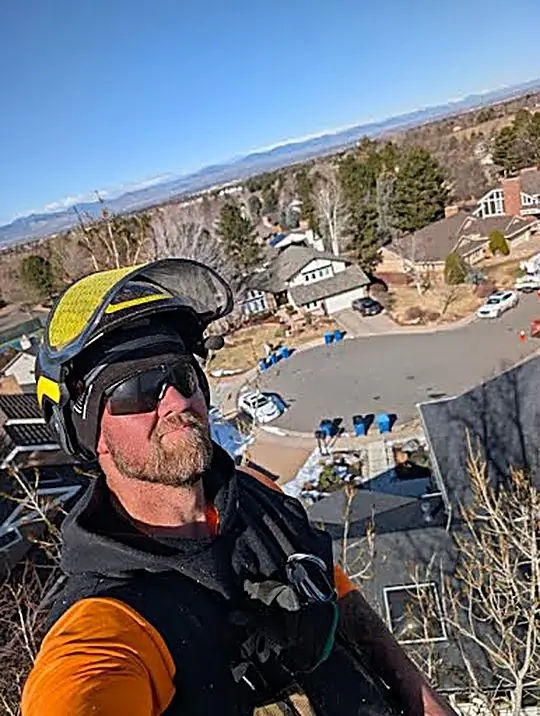 A&S arborist high above the Denver foothills